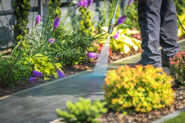 Best Animal Enclosure Cleaning  in Dale City, VA